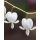 LAMPROCAPNOS (syn. Dicentra) spectabilis 'Alba' - Nagy szívvirág