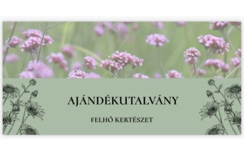 Ajándékutalvány 
