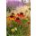 HELENIUM 